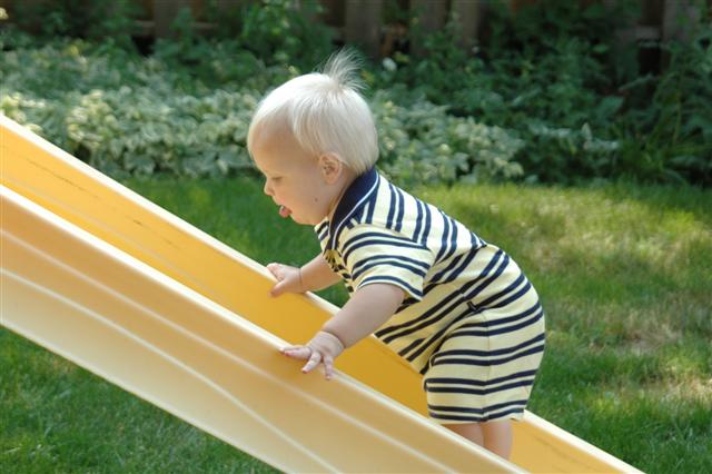 [DSC_0118+(Small).JPG]