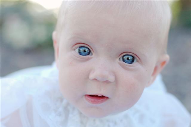 [DSC_0015+(Small).jpg]