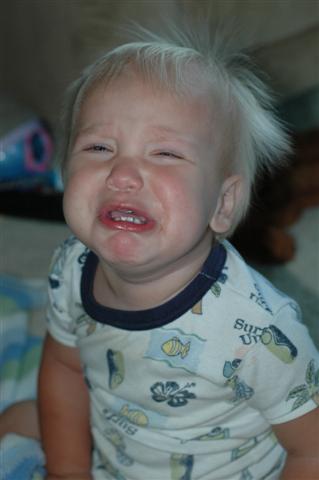 [DSC_0059+(Small).JPG]