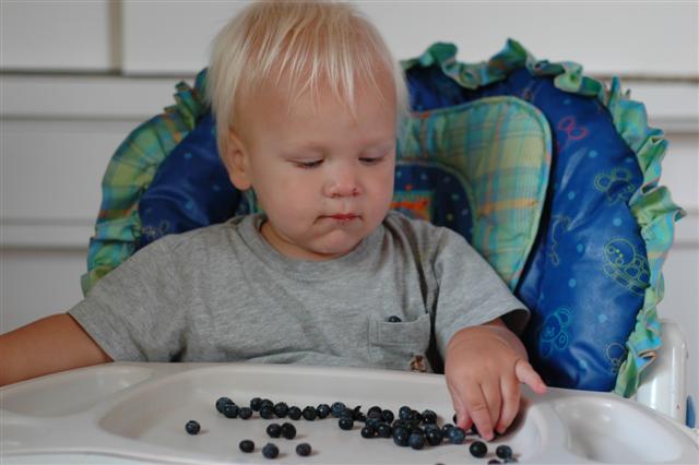 [DSC_0009+(Small).JPG]