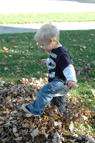 [DSC_0019+(Small).JPG]