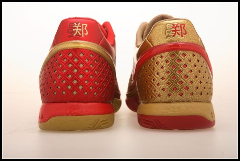 [zhengjiyanzishoe3.jpg]