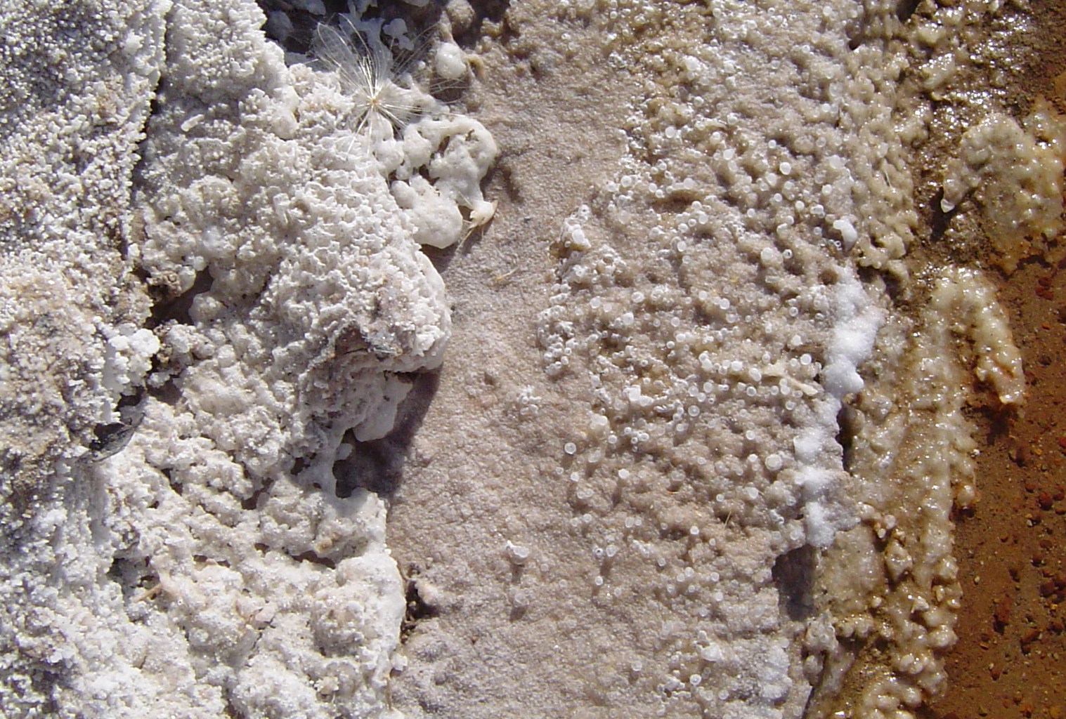 El cuarto de los chismes El Salado