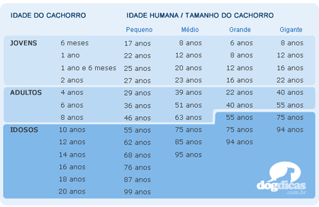 [idade+dos+cães.gif]