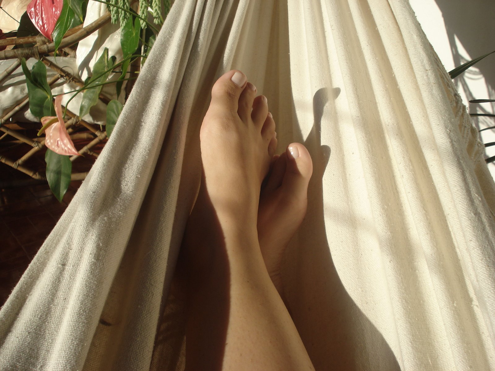 [DSC09136.JPG]