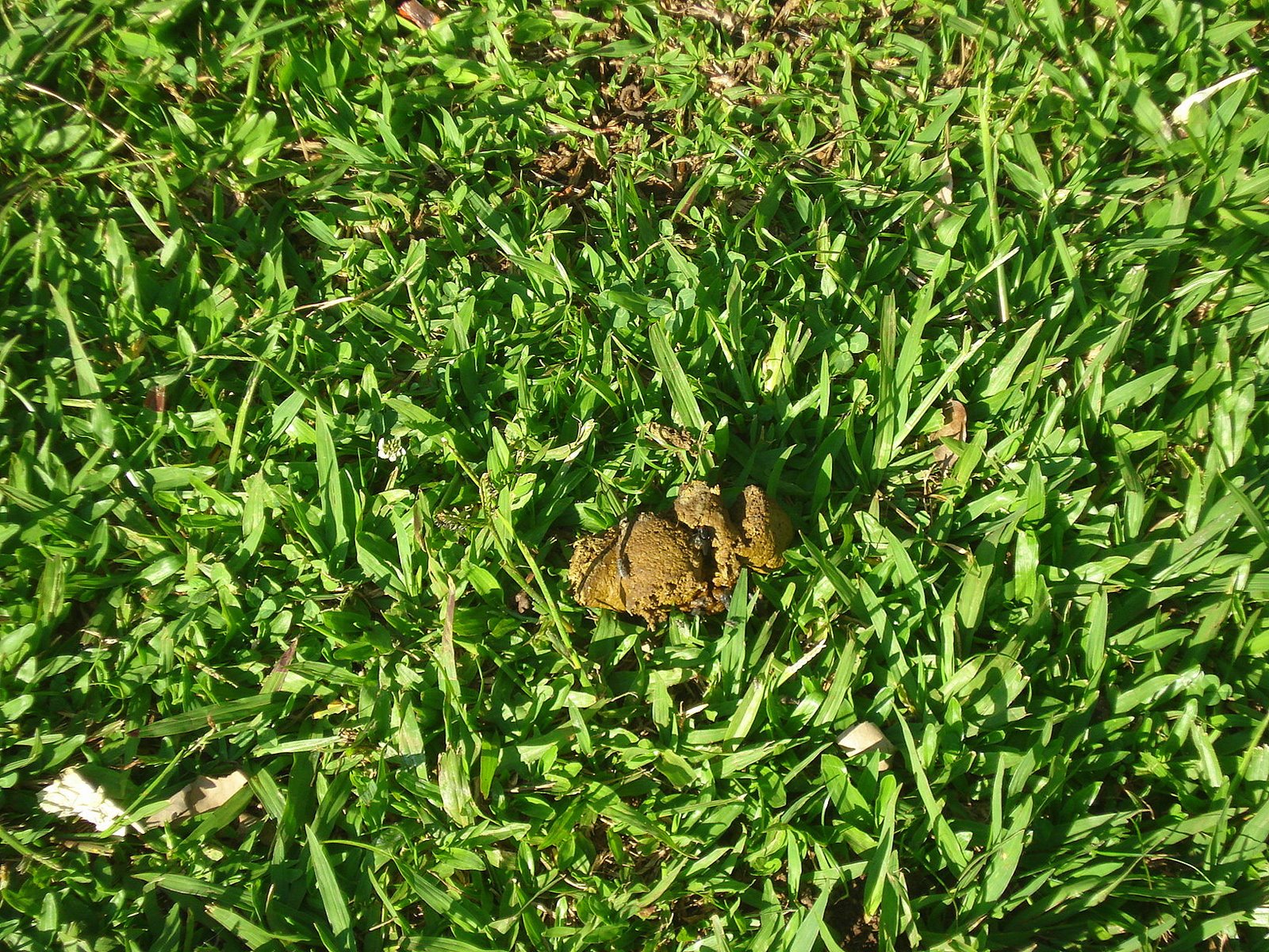 [DSC09308.JPG]
