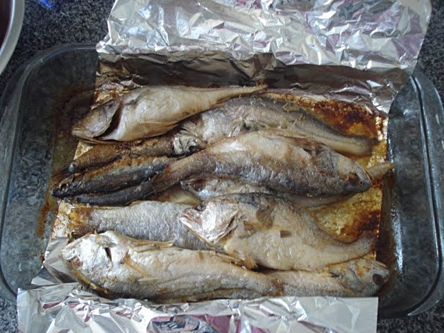 [peixes4.JPG]