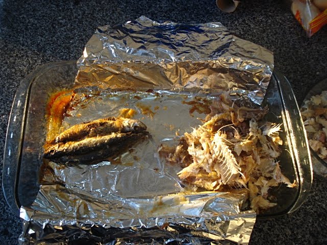 [espinha+de+peixe.JPG]