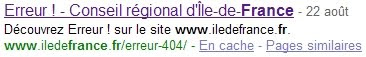 Erreur 404 dans Google