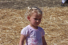 Pumpkin patch days