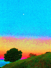 lone tree