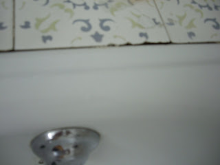 Mi diario de como aprendo a volar e irme del nido de papuchi y mamuchi