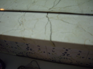 Mi diario de como aprendo a volar e irme del nido de papuchi y mamuchi