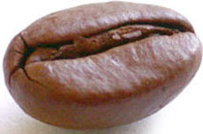 coffee_bean.jpg