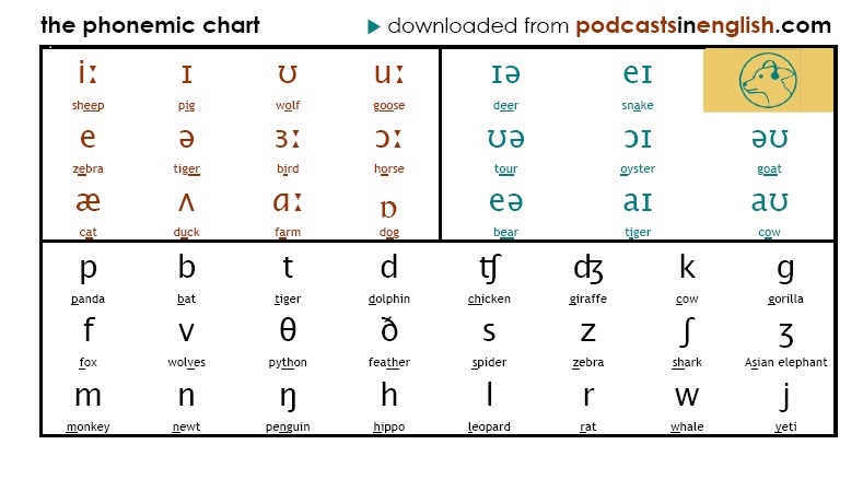 Phoneme examples. English Phonemic Chart. Phonemic Chart" с английскими звуками. Phonetic and Phonemic Transcription. Chart произношение.