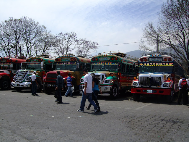 Chiken bus