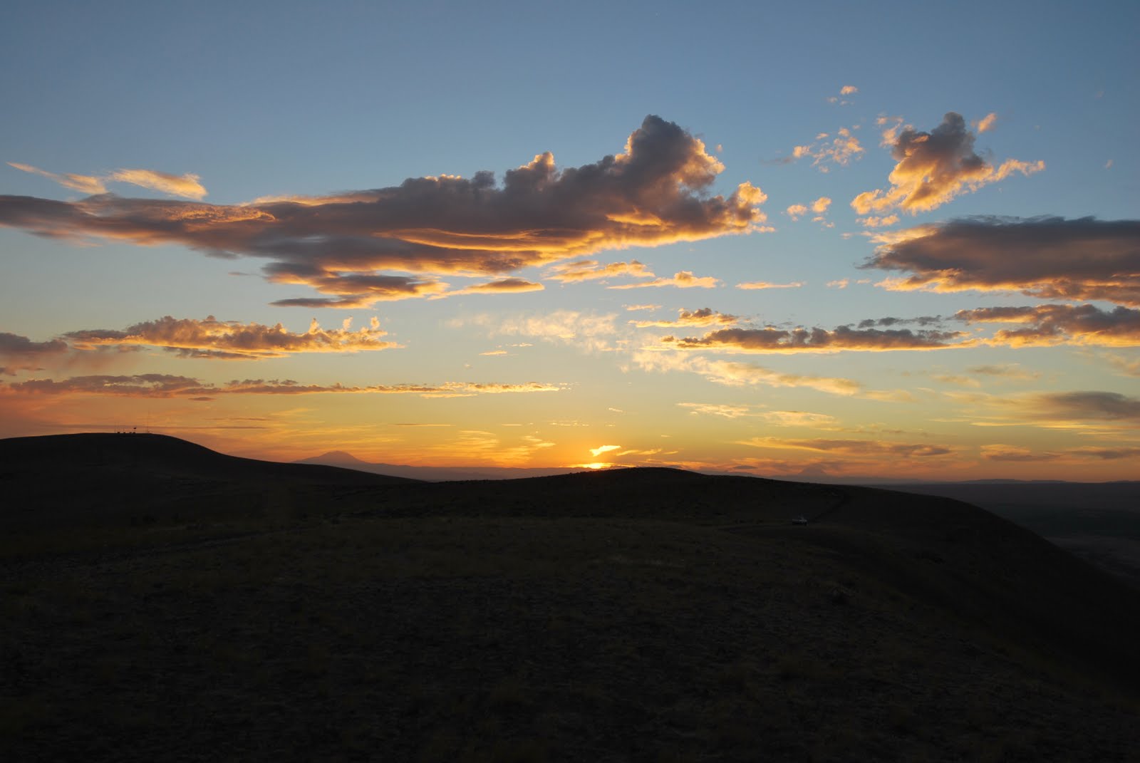 20+ Horse Heaven Hills Washington Pictures