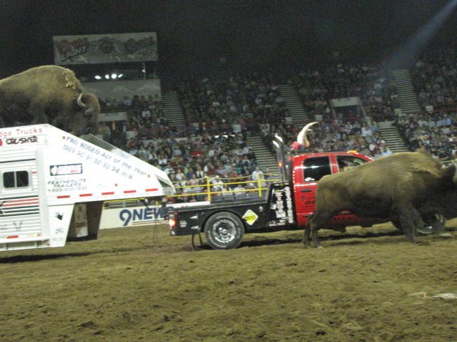 Rio Lobo Ranch: National Western Stock Show and Rodeo - 2010