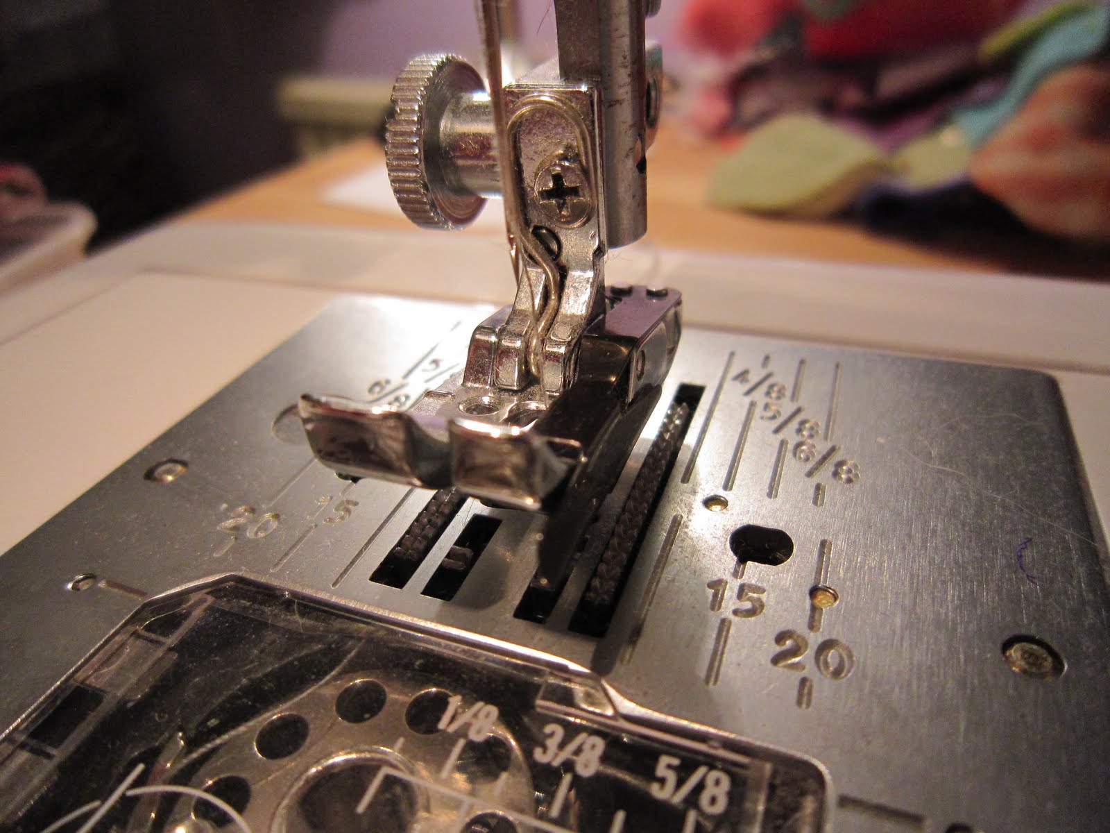 From the Crow's Nest Spot the Birdie