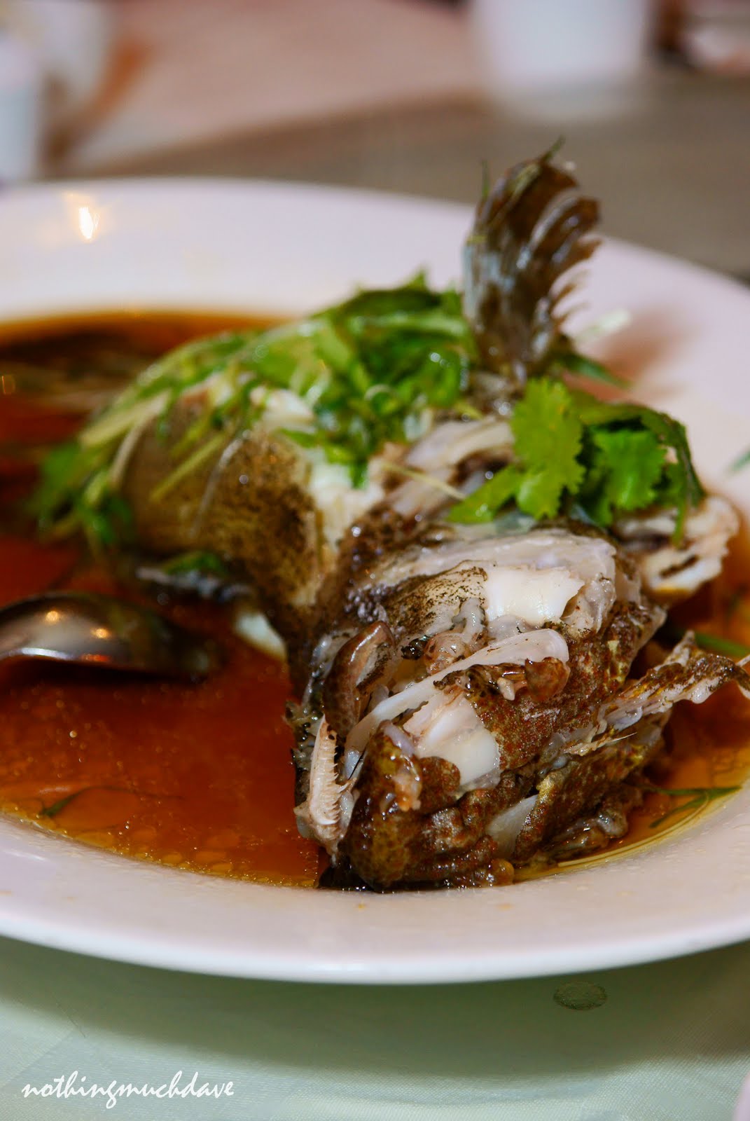 Ah Yat Abalone Forum Restaurant Avenue K nothingmuchdave