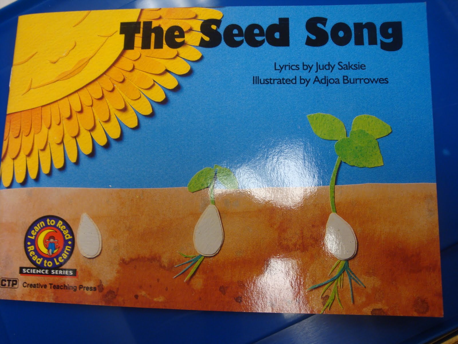 PreKPreschool Ideas from Noey Planting seeds