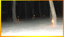 บริเวรที่เดินจงกรม ตอนกลางคืน