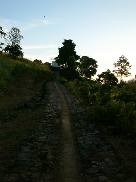 P1280152.JPG