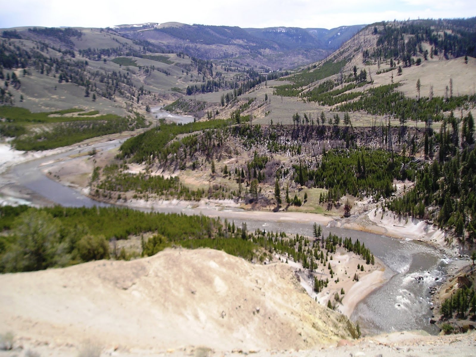 Yellowstone River Picnic Area Trail (Yellowstone National Park)