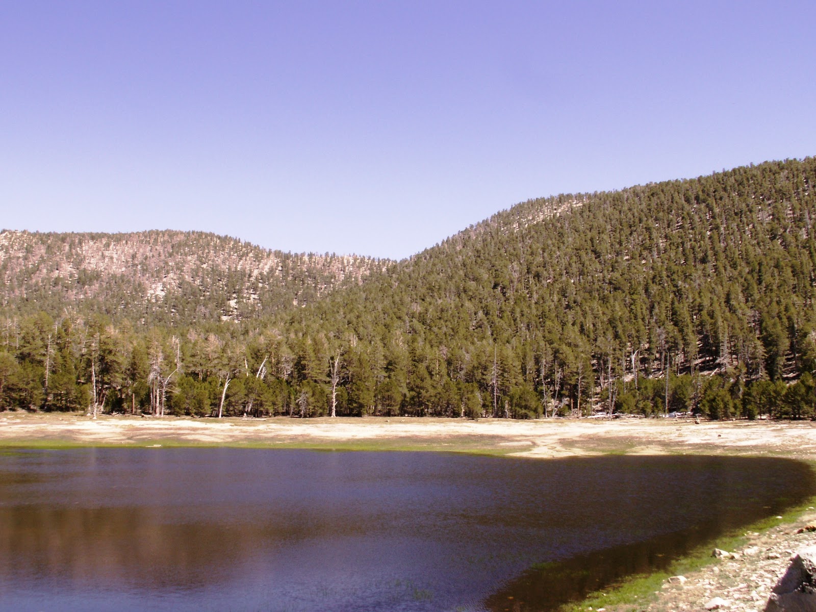Hiking Dry Lake (San Bernardino National Forest)