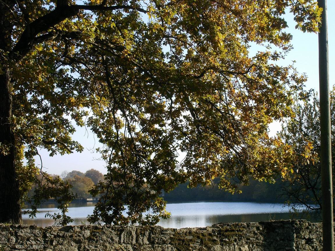 [RedimensionnerIMAG0009.JPG]