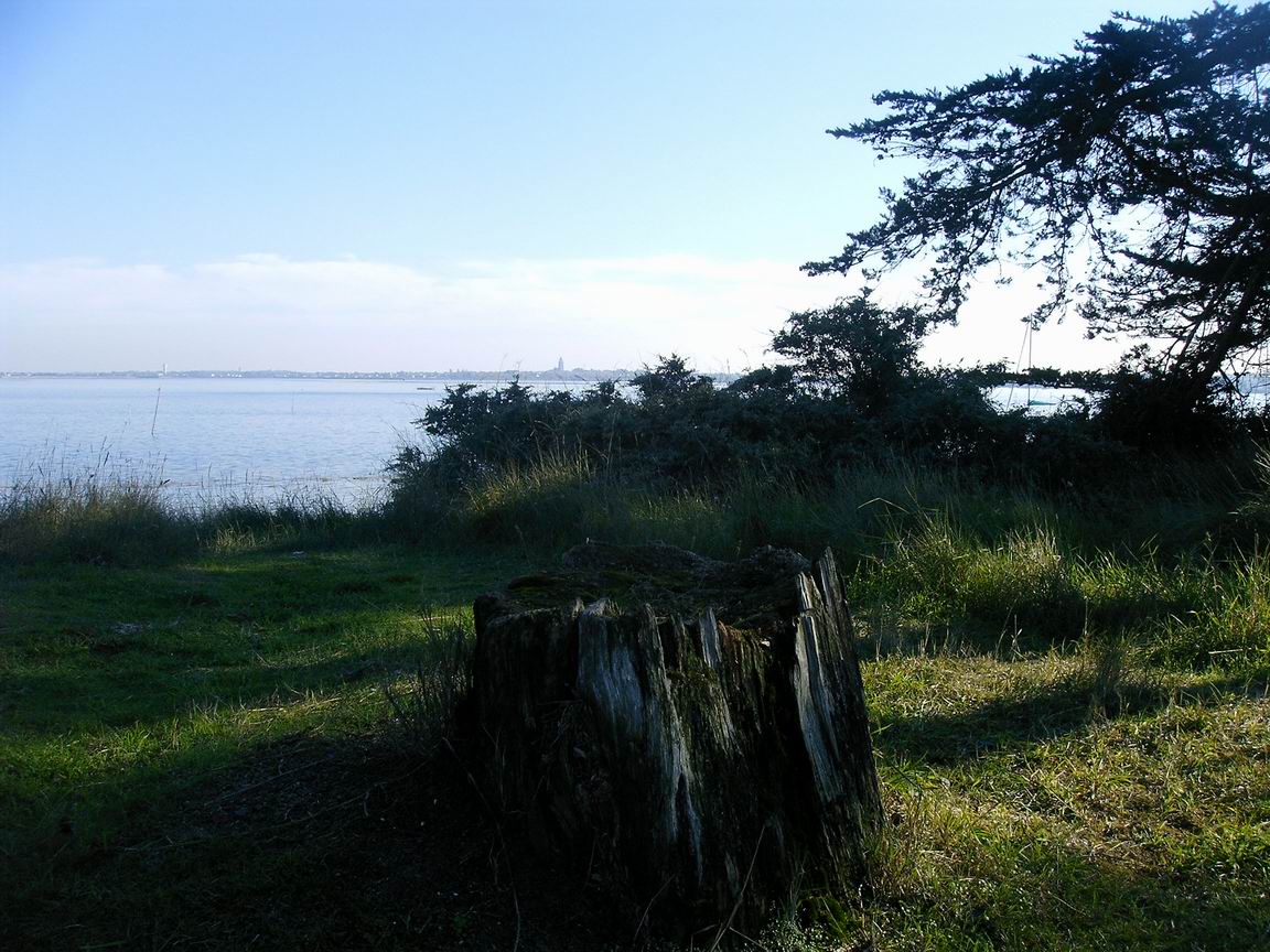 [RedimensionnerIMAG0007.JPG]