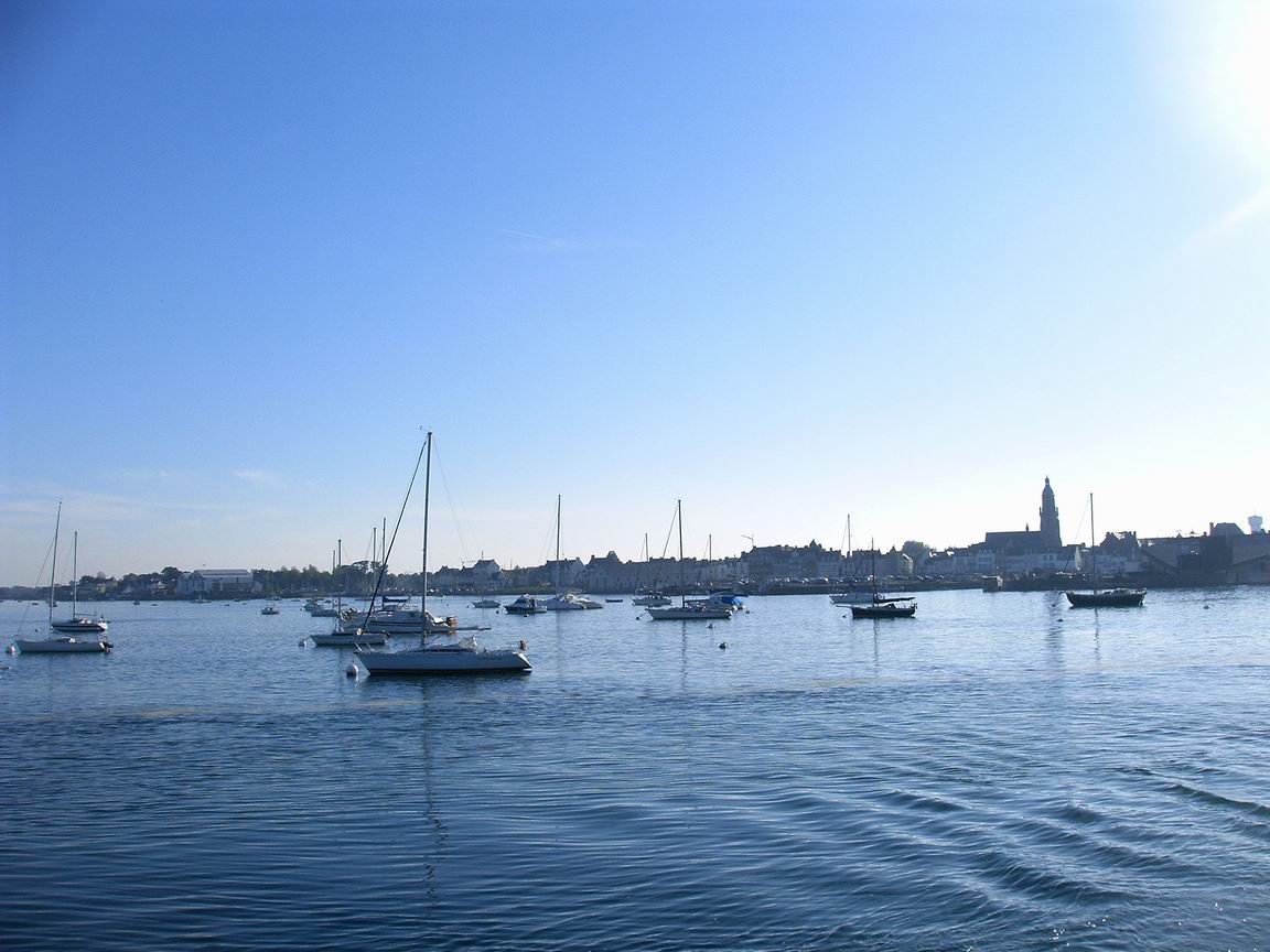 [RedimensionnerIMAG0012.JPG]