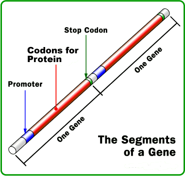 Smith's Super Science
