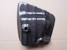 Carbon exhaust shield