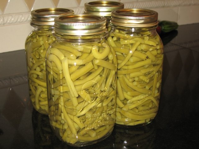 [Beans.jpg]