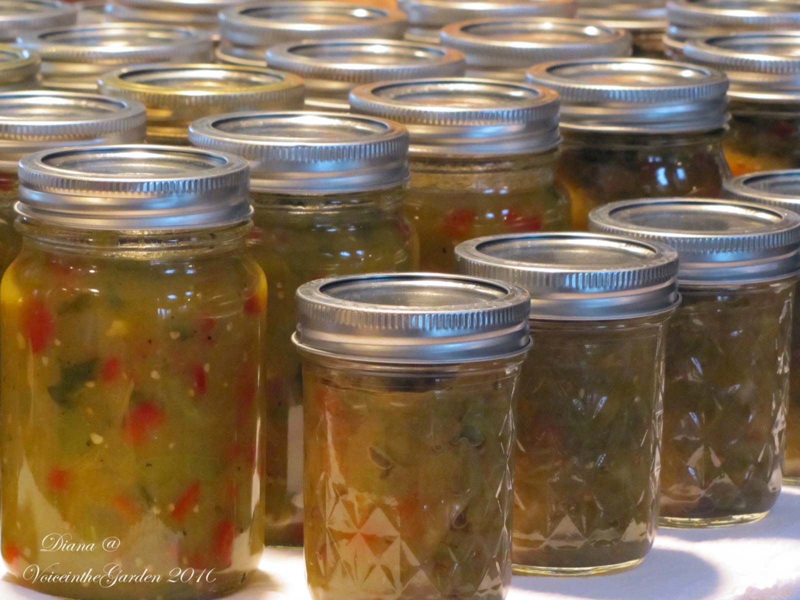 Voice In The Garden Canned Green Tomato Salsa