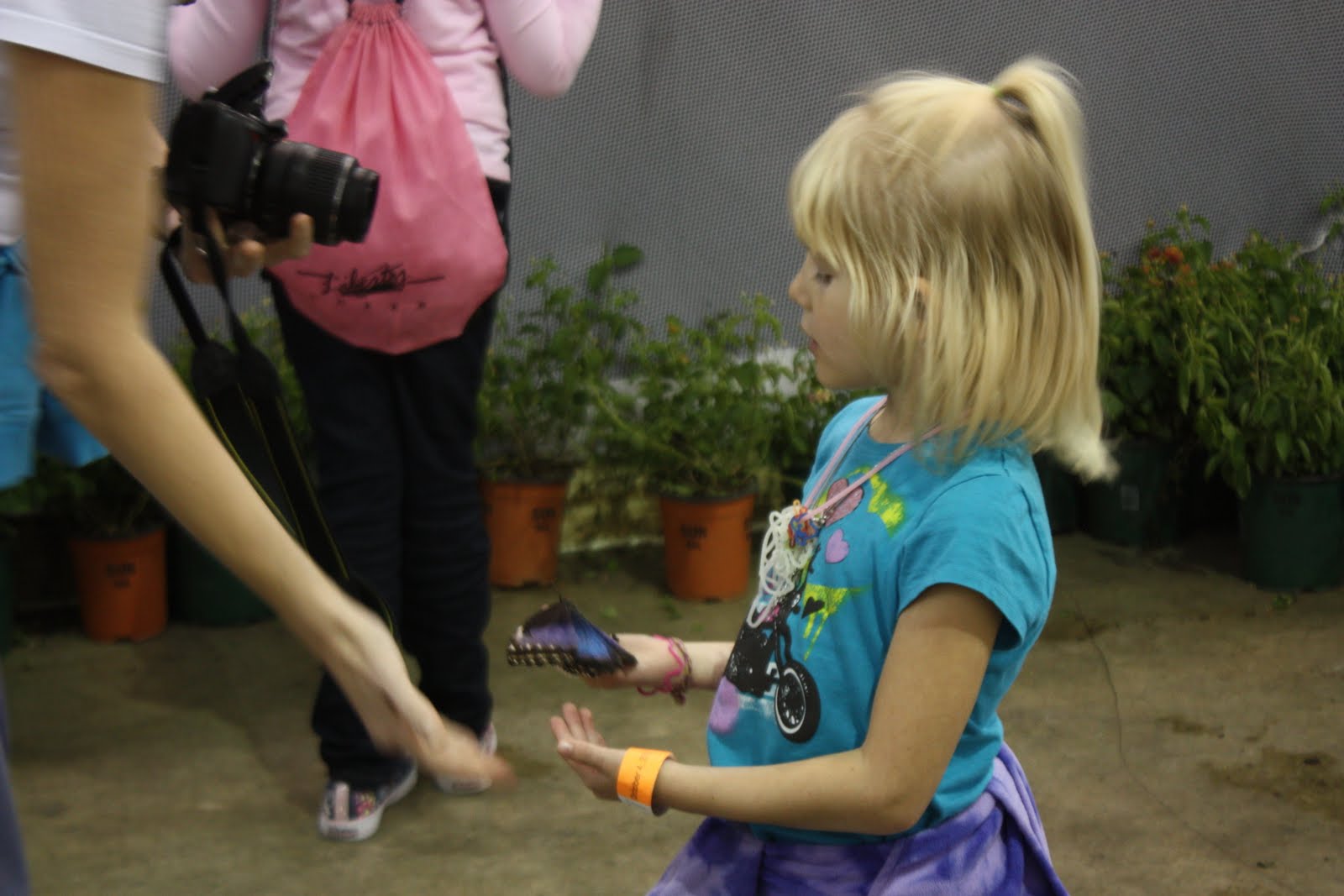 Butterfly House at the Tulsa Fair