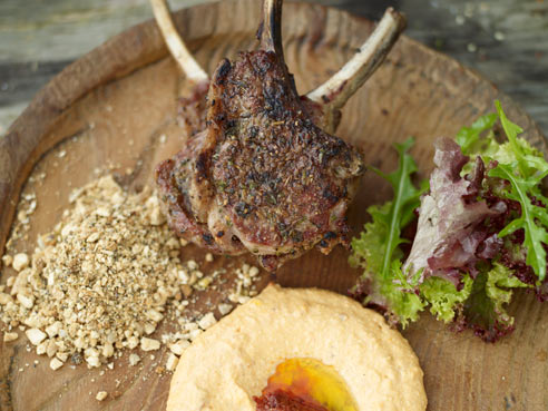 [Barbecued+lamb+lollipops+with+spiked+hummus+and+nuts.jpg]
