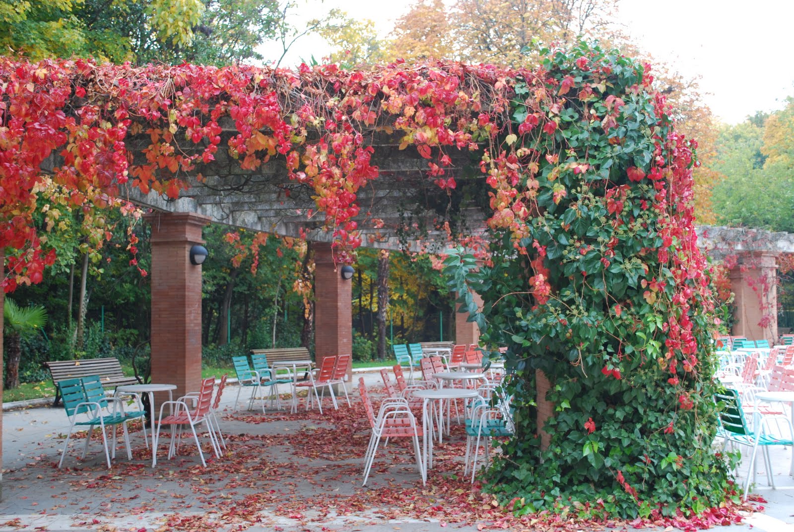 píllala: Los colores de la Pérgola