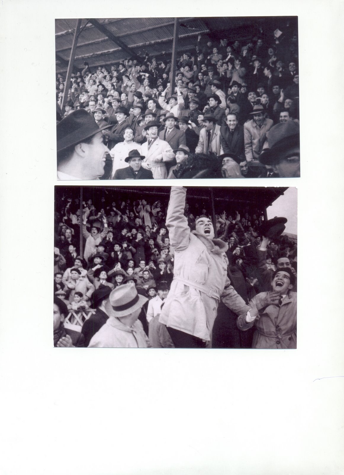 [Digitalizar0012.jpg]