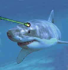 [frigginshark.JPG]