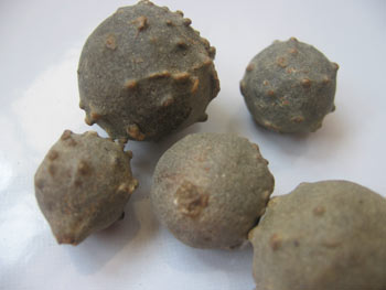 danau kasih: Manjakani