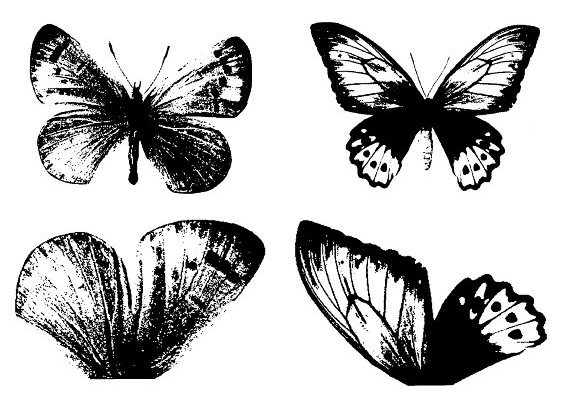 [Image3.jpg]