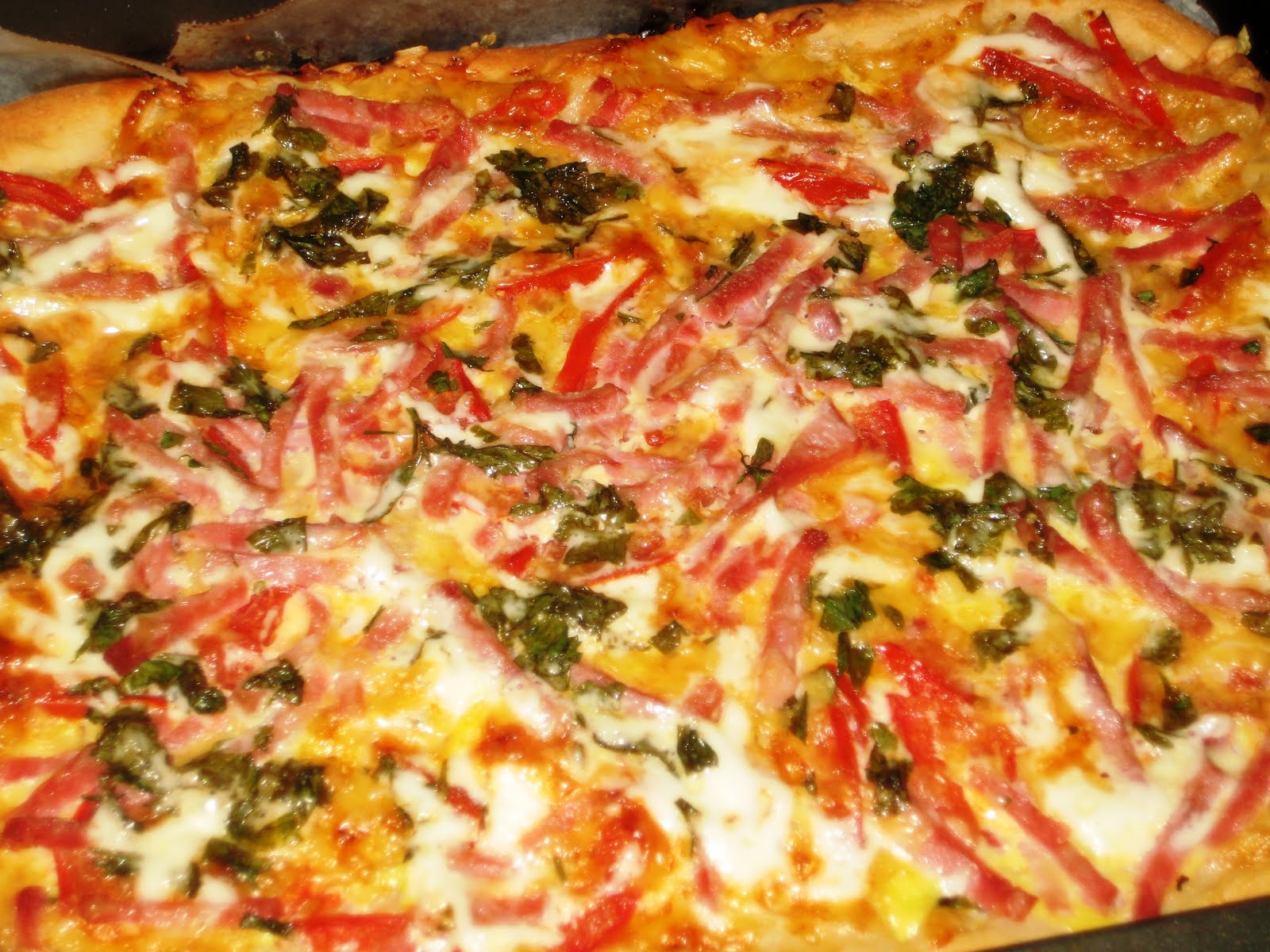 какая начинка у пиццы домашней в духовке фото 110