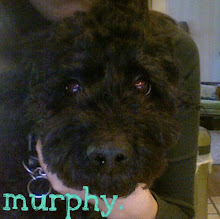 murphy