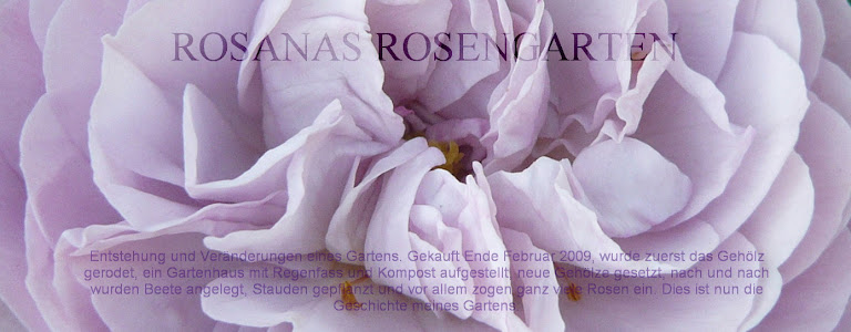 Rosanas Rosengarten