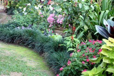 [IMG_2762%5B1%5D.jpg]