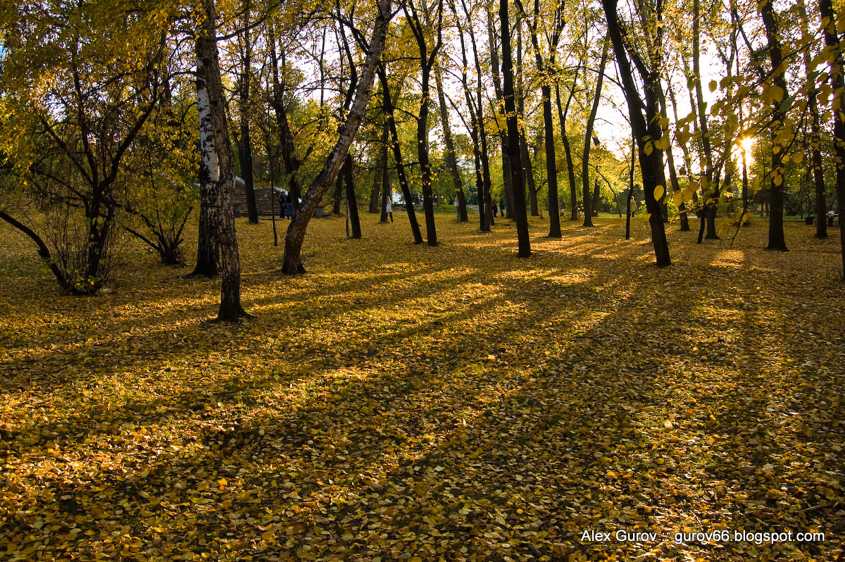 Александра Парк Фото