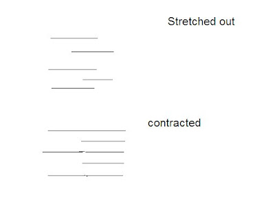 BRITTANY'S ANATOMY BLOG!!!: Skeletal Muscle Physiology Worksheet