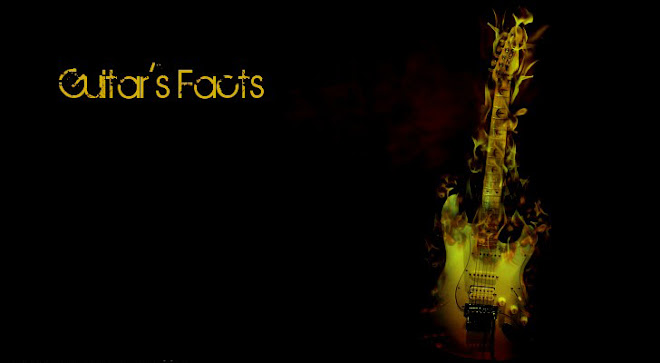 The Facts of Guitar
